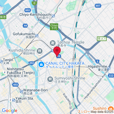 Google Maps static image